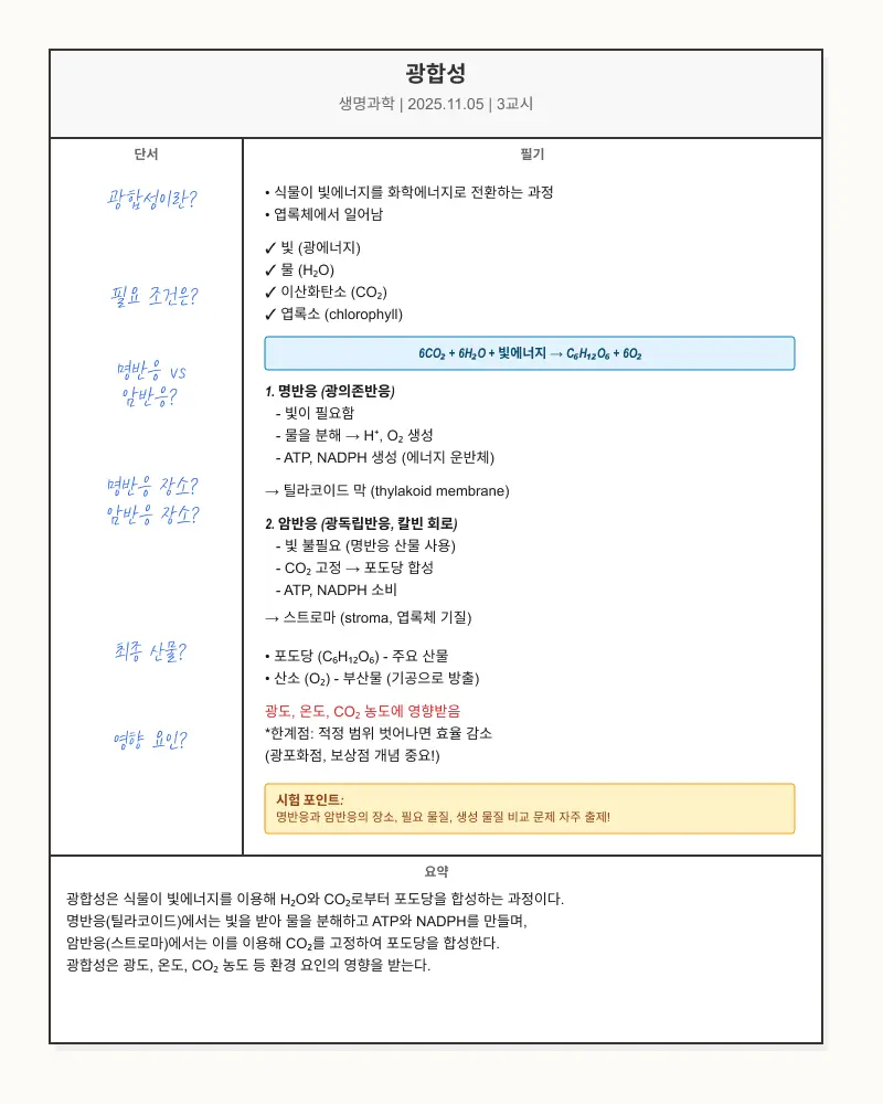 코넬식 노트법으로 정리한 예시 이미지