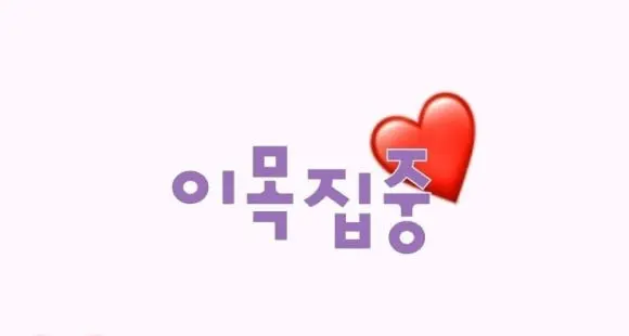 입학사정관에게 어필하기