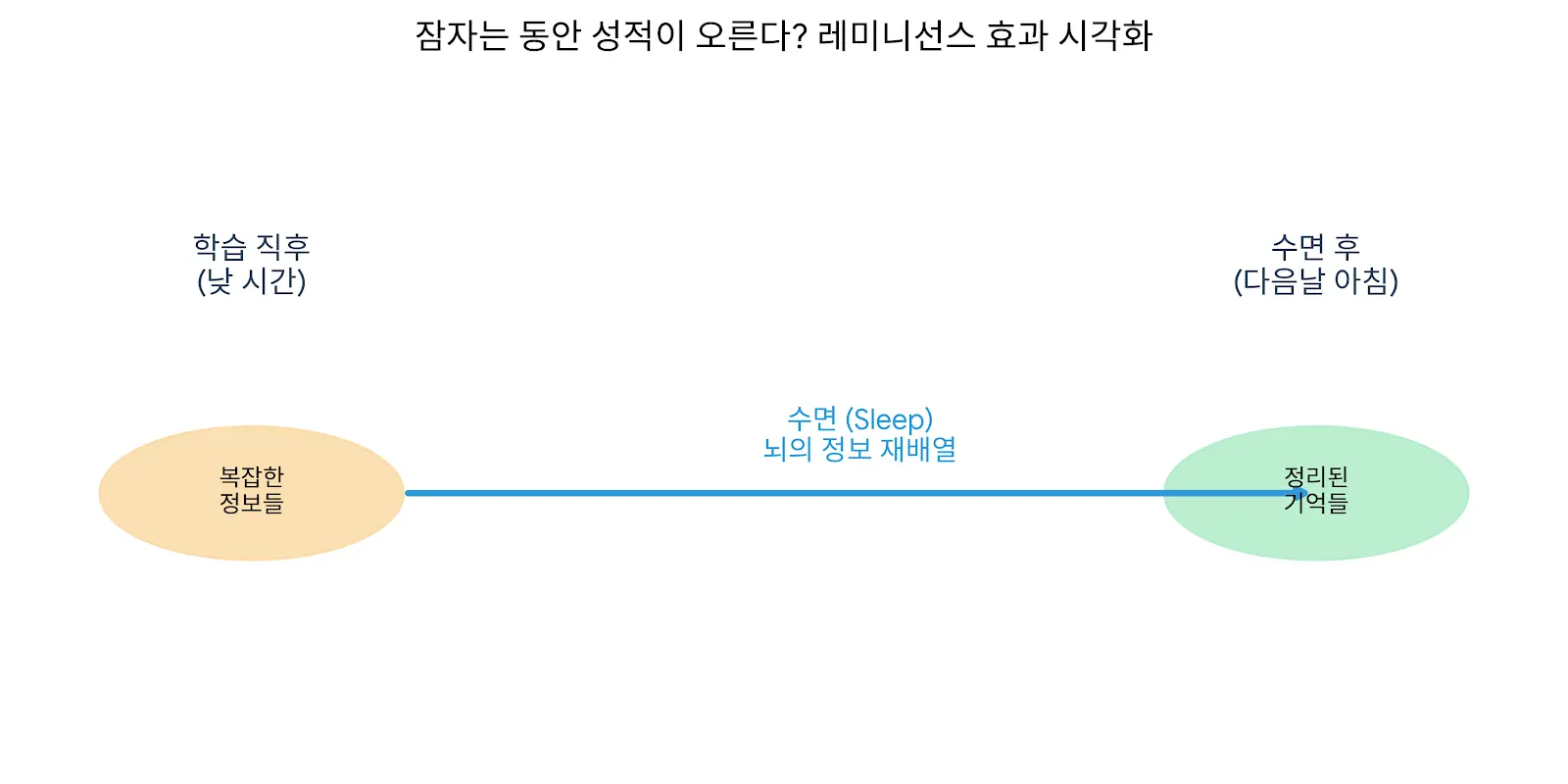 수면 중 기억 재배열: 레미니선스(Reminiscence) 효과