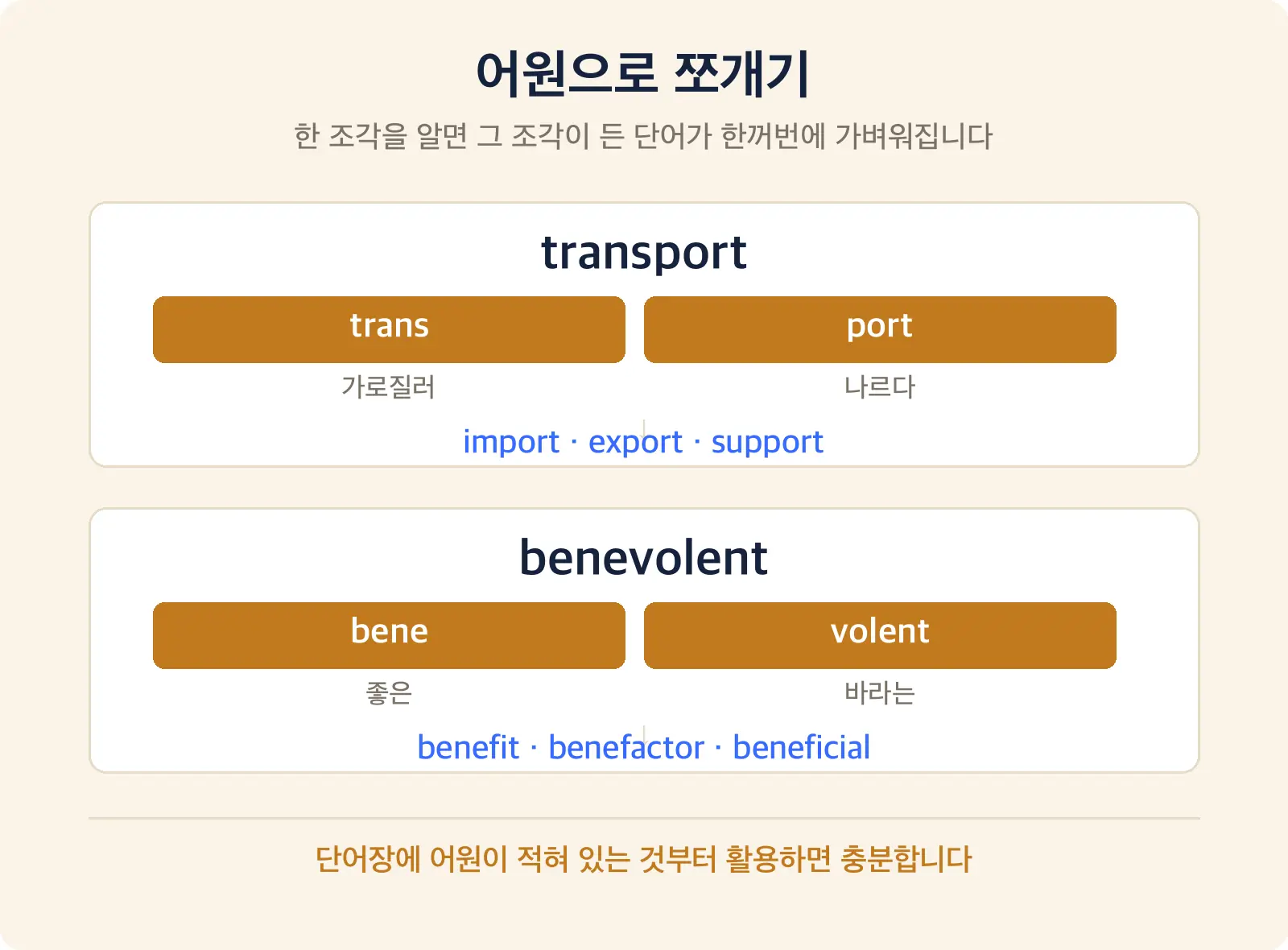 transport를 trans와 port로 쪼개 각각 가로질러, 나르다라는 뜻을 보이고 거기서 import, export, support가 갈라져 나오는 모양과 bene를 좋은으로 쪼개 benefit, benevolent, benefactor가 갈라져 나오는 모양을 나란히 그린 도식 — 영단어 어원 분해