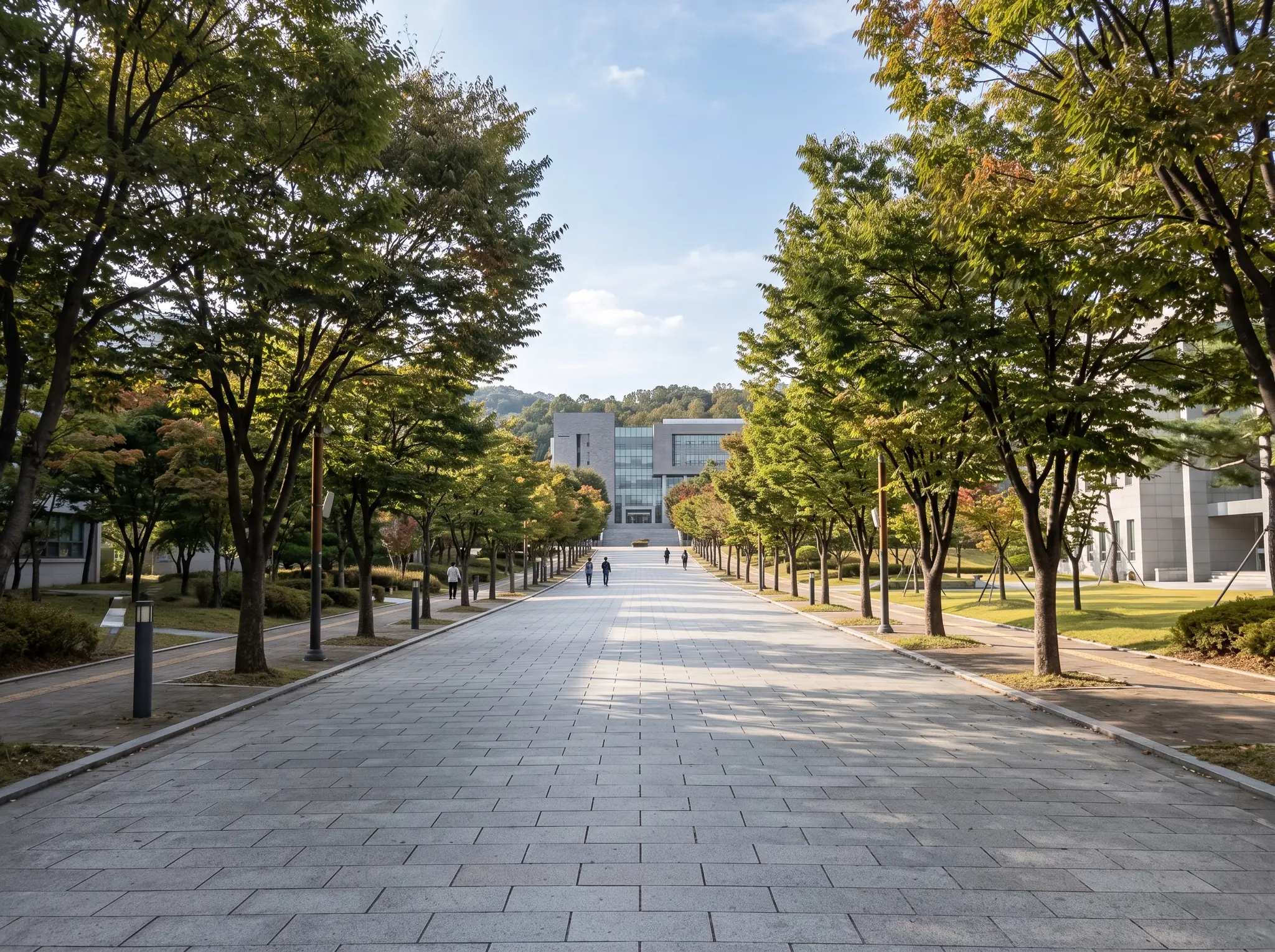 맑은 가을 낮 대학 캠퍼스의 넓은 돌길 양옆으로 키 큰 나무가 늘어서 있고 길 끝 멀리 회색 돌과 유리로 지은 건물이 보이는 원경 사진 — 대학 입시 준비